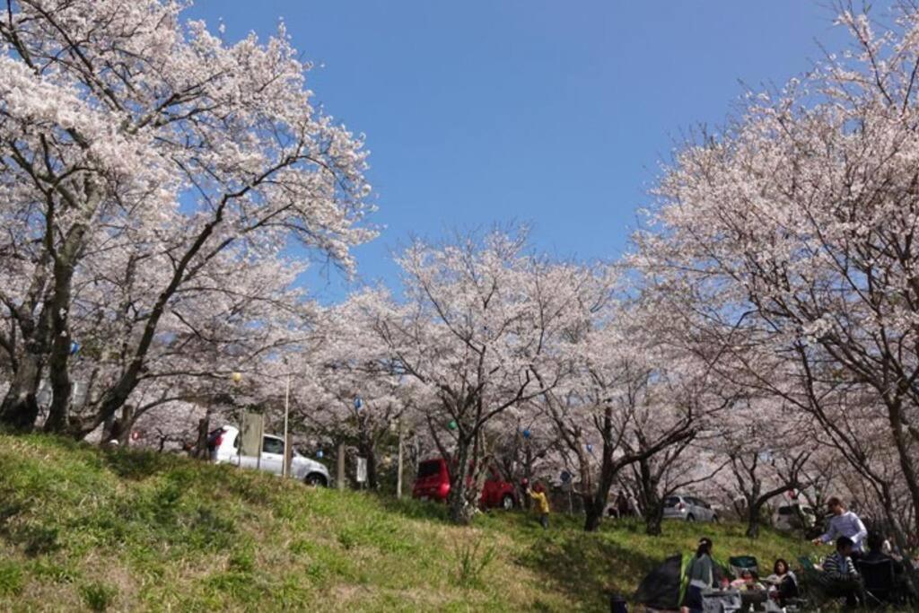 Villa 天然温泉！古民家風の貸切り一軒家 【白山リバーサイドコテージ 】2-120号棟 Tsu Exterior foto